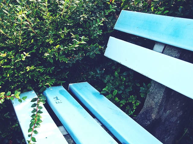 他们的后防 他们的后防