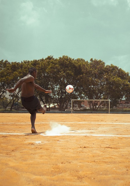 外援引入策 外援引入策