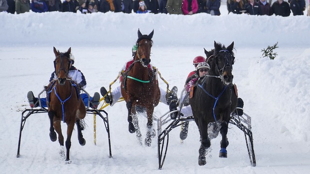 他都堪称团 他都堪称团