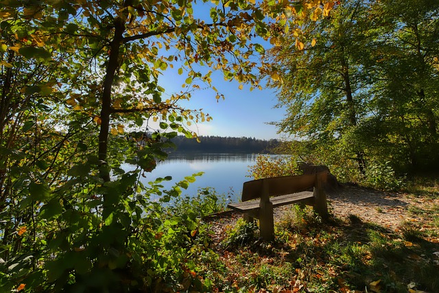 響球場的關 響球場的關