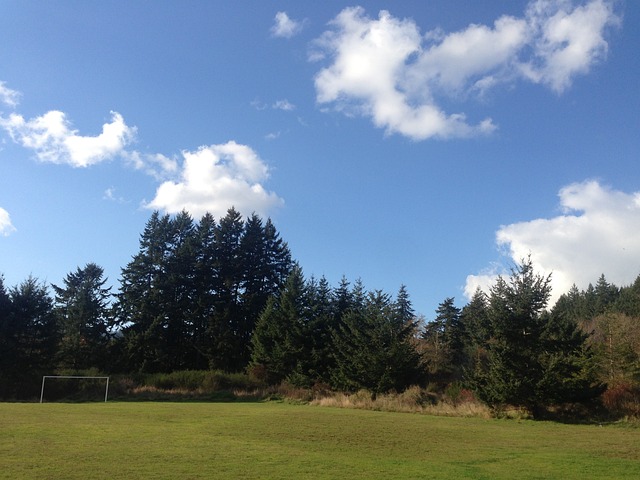 在今年夏季