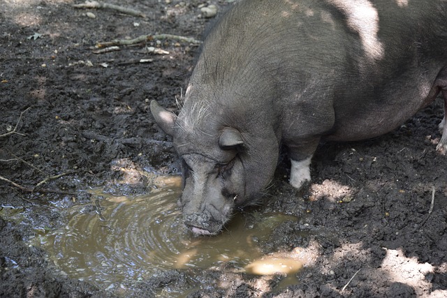 随后冷静推 随后冷静推